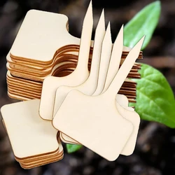 Poplar wood horticultural flower plate tag Garden name plate indicator Landscape identity shaped wood craft