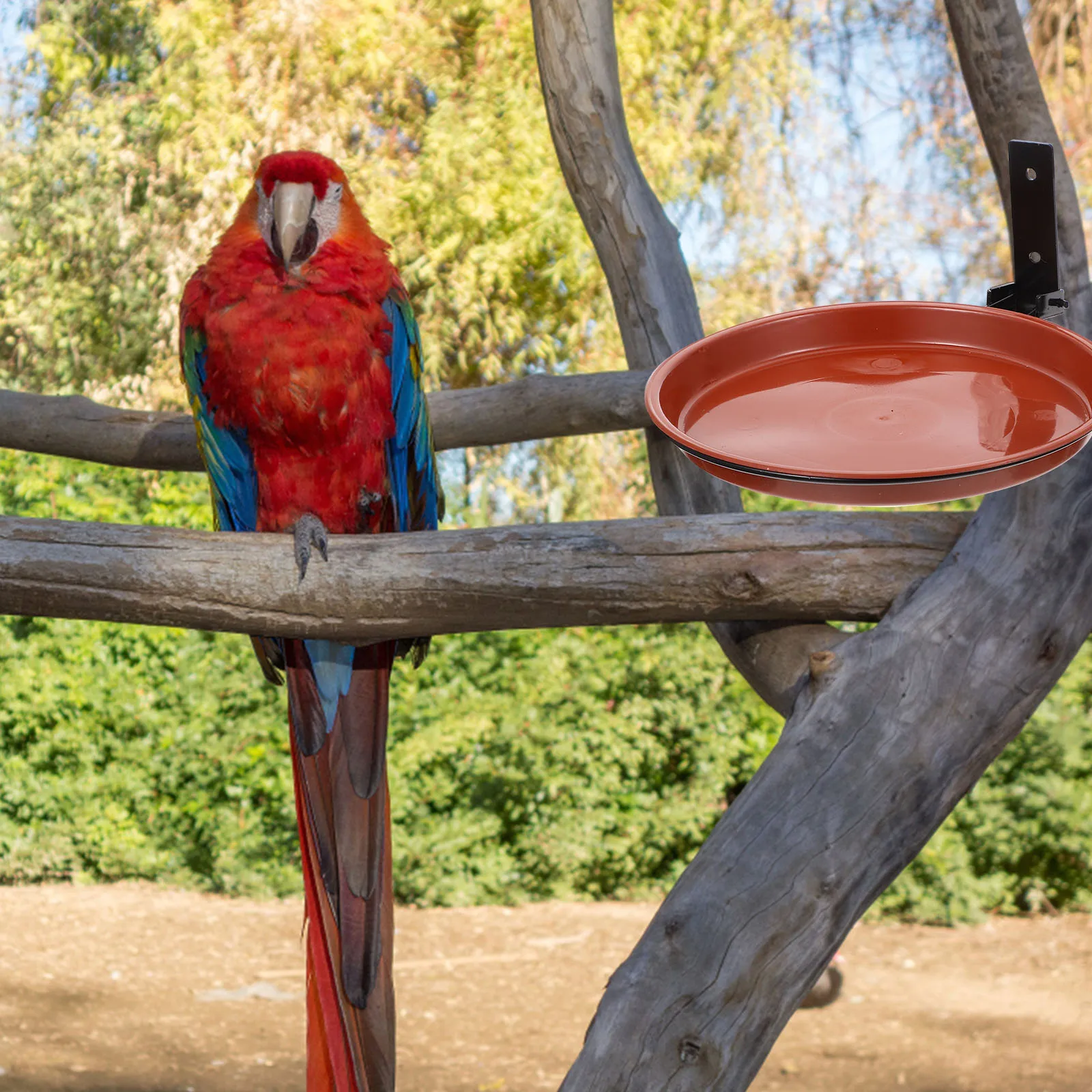 

1 Set Multi-Function Hummingbird Feeder Wall Mounted Bird Food Dish Outdoor Feeding Tray Wear-Resistant Bird Accessories For