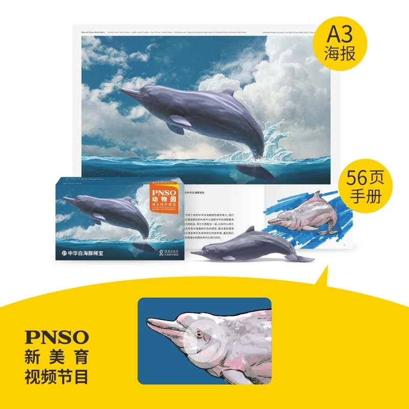 Model 17 Chinese White Dolphin Model Xibao Marine Mammal Animal Figure Collection Realistic Scene Decoration Birthday Gift