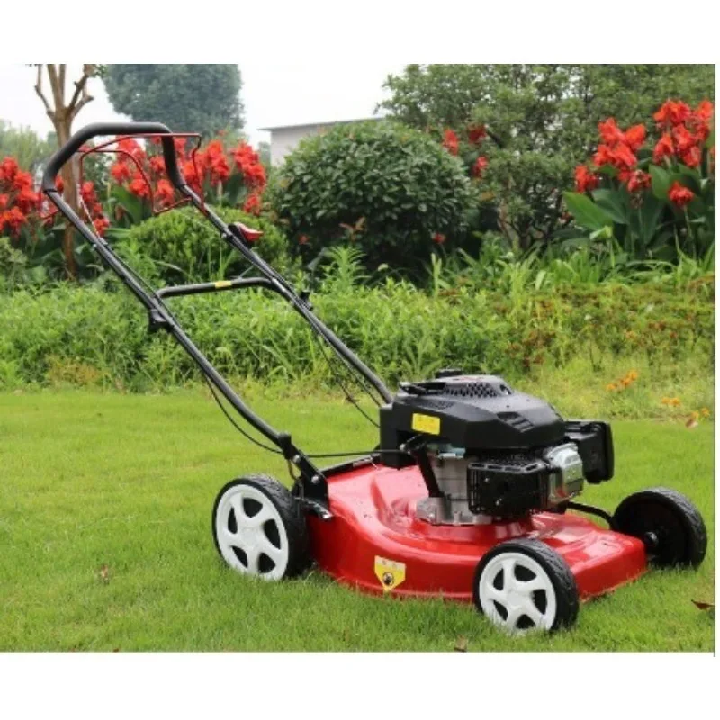 고품질 173cc 전기 잔디 깎는 기계 (잔디 및 정원용 산업/DIY 등급 전기 및 가스)