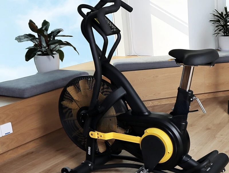 Bicicleta de Spinning con ventilador, bici de ejercicio resistente al viento, Control magnético, equipo de gimnasio de alta resistencia