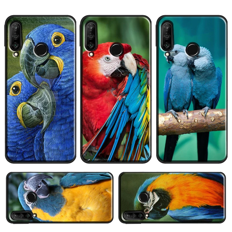 Macaw Parrot Colourful Case For Huawei P30 Pro P40 P20 Lite Mate 20 Lite P Smart 2019 Z Nova 5T Honor 50 10i 8X 9X