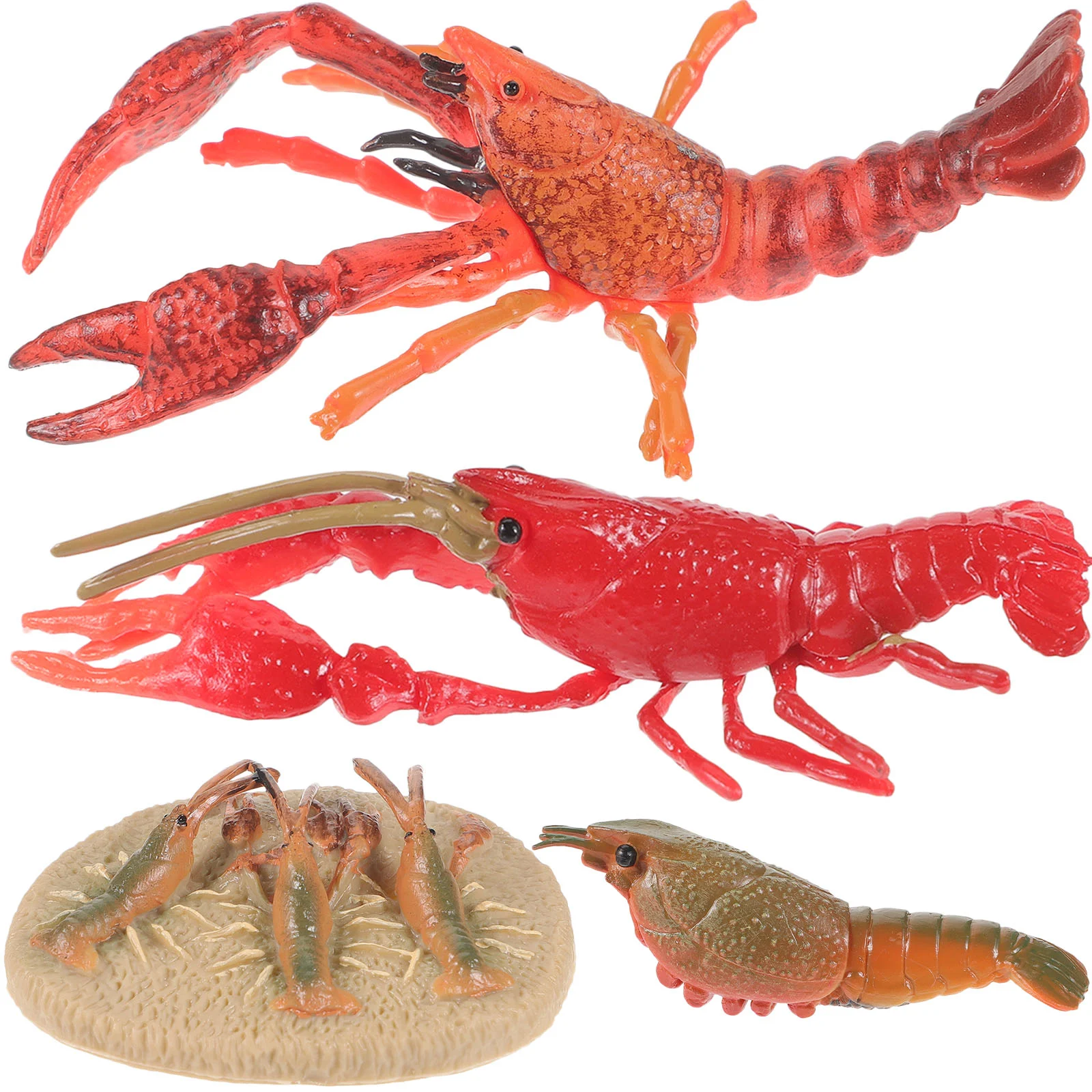 

1 Set Lobster Growth Model Lobster Growing Cycle Toys Lobster Educational Models Lobster Models lobster toys