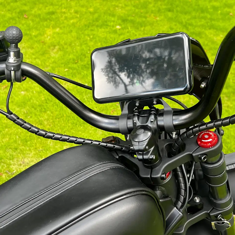 Black Warrior Electric Bike 60V Lithium Battery High Quality Mountain E-bike image 7