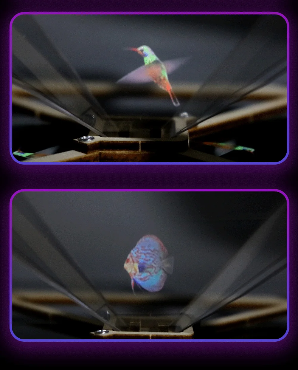 3D Holographic Pro Jection DIY Modelle & Gebäude Spielzeug Wissenschaft & Bildung Modell Spielzeug Für Kinder Geschenk Spielzeug – Detail 7