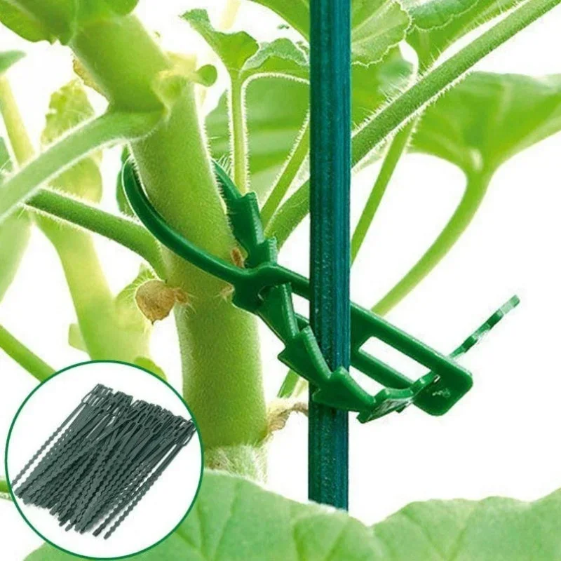 50PCS Reusable Garden Cable Ties Self-locking Plastic Tie puttee Adjustable Plant Support Shrubs Fastener Zip Loop Wire Wrap