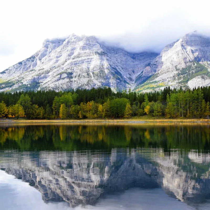 

JX Servo PDI-1109MG 9g 2.5kg Metal Gear Digital Mini Servo for Fixed-wing 1/18 RC Car Boat Robot Arm Helicopter