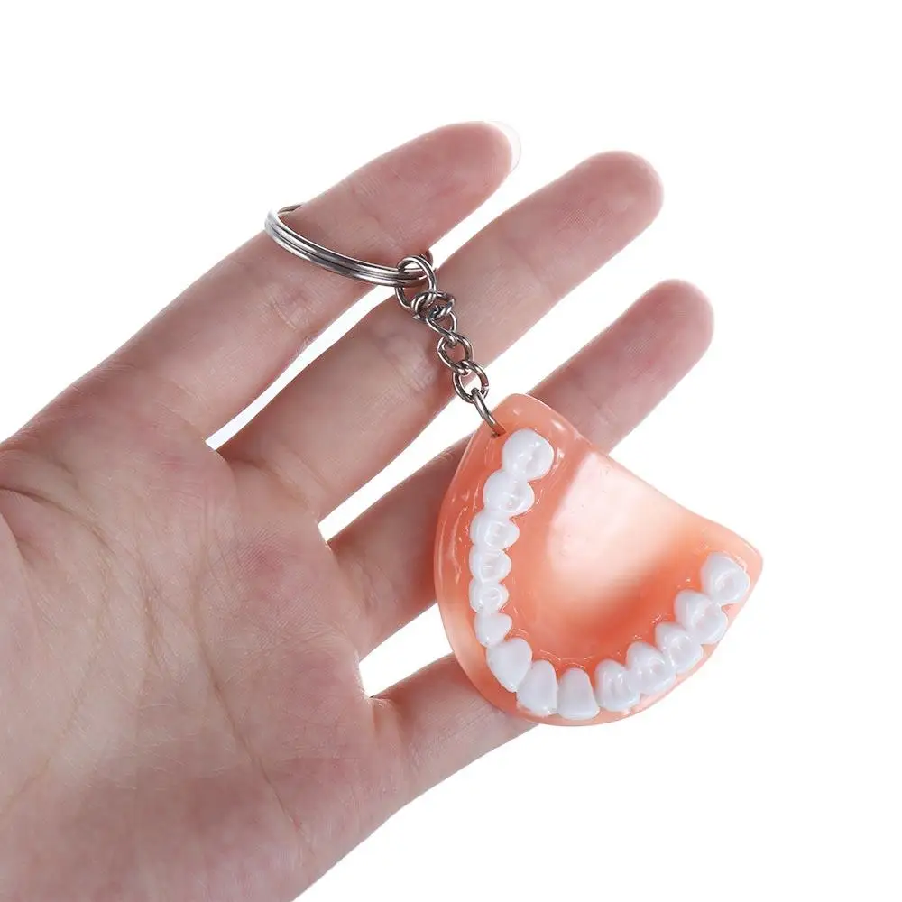 Dental Decoration Dental Gift Resin Upper Jaw Simulation Teeth Keyring Tooth Key Chain Teeth Pendant Denture Key Chain