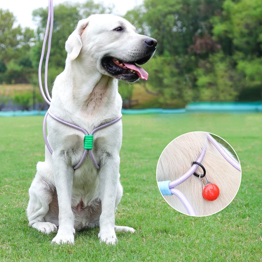 Multifunction Pet Dog Anti-impact Leads Harness Adjustable Medium Large Dogs Walking Leash Outdoors Soft Grip Fashion Dog Leash