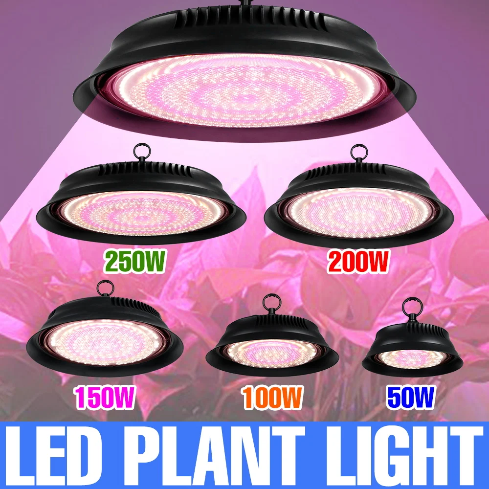 

250 Вт светодиодный светильник для выращивания растений полного спектра, гидропоника, лампа США/ЕС, вилка для интерьера, кактус в горшке, теплица, палатка, фрукты, овощи