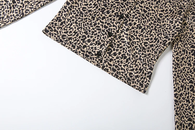Weird Puss Leopardenmuster 2-teiliges Set für Damen, einreihig, O-Ausschnitt, langärmeliges Crop-Top + elastische Taille, eng anliegendes kurzes Street-Anzug-Set – Detail 9