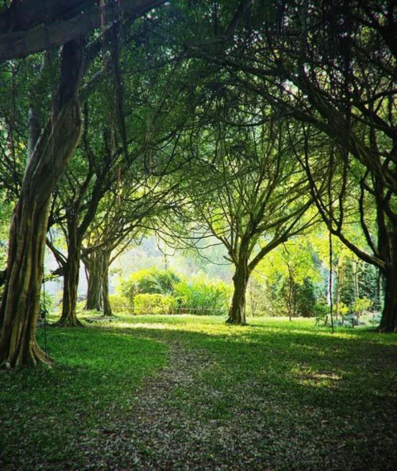 

For Benz A-Class Paint Touch Up Pen Kit Car Paint Scratch Repair Car Scratch Remover Paint Repair Set Auto Accessories