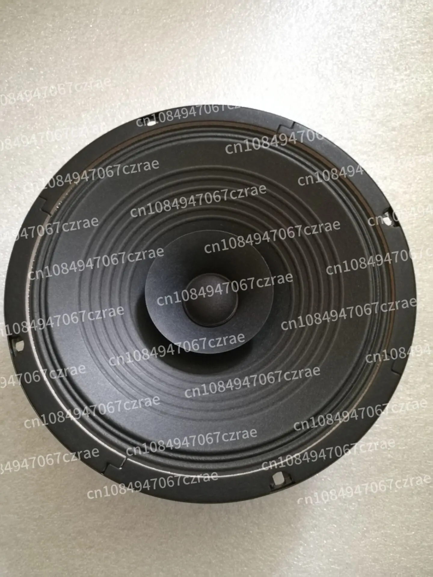 10inch Full Range Speaker 8 Ohm 100 Magnet 4 Ohm 120 Magnet