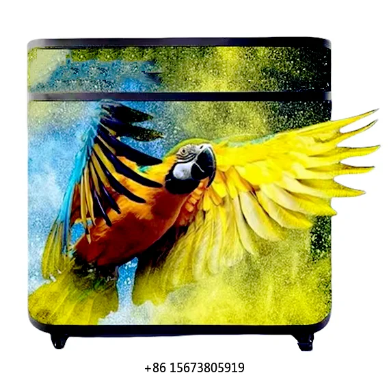 

Full-color Outdoor Custom Dj Booth Led Display P2.6 P3.91 P4.81 Curved Dj Booth with Screen