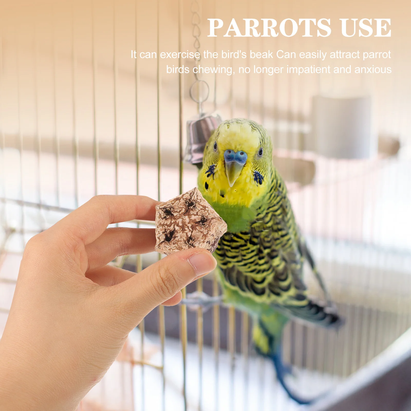 

12Pcs Natural Parrot Biting Supplies Birds Foraging Shredding Accessories Parakeet Cage Accessories Bird for Parakeets
