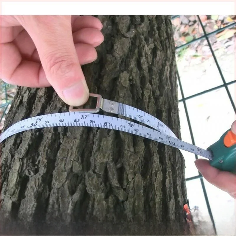 

Tree Diameter Measuring Tape Forestry Surveyor Tool Circumference Measurement Log Ruler Outdoor Exploration Gear ABENIOR