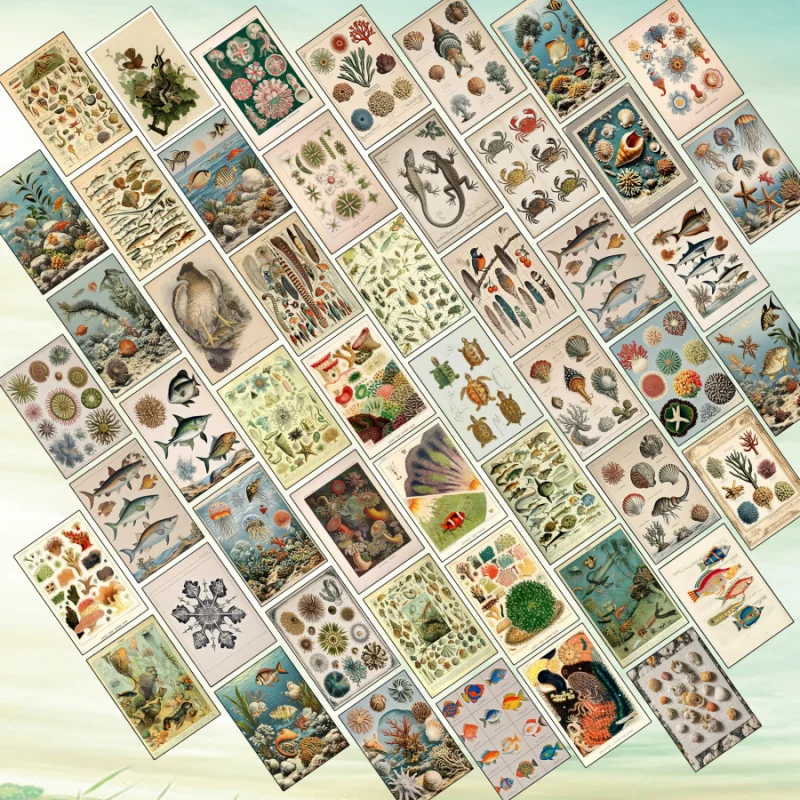 50pcs/Set，Retro Postcard Suit，Natural Retro Style Marine Life、Animal、Crab Postcard，Card、Poster、Greeting Card；For School Room Dec