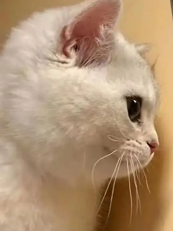 16S4P Battery Pack … - image