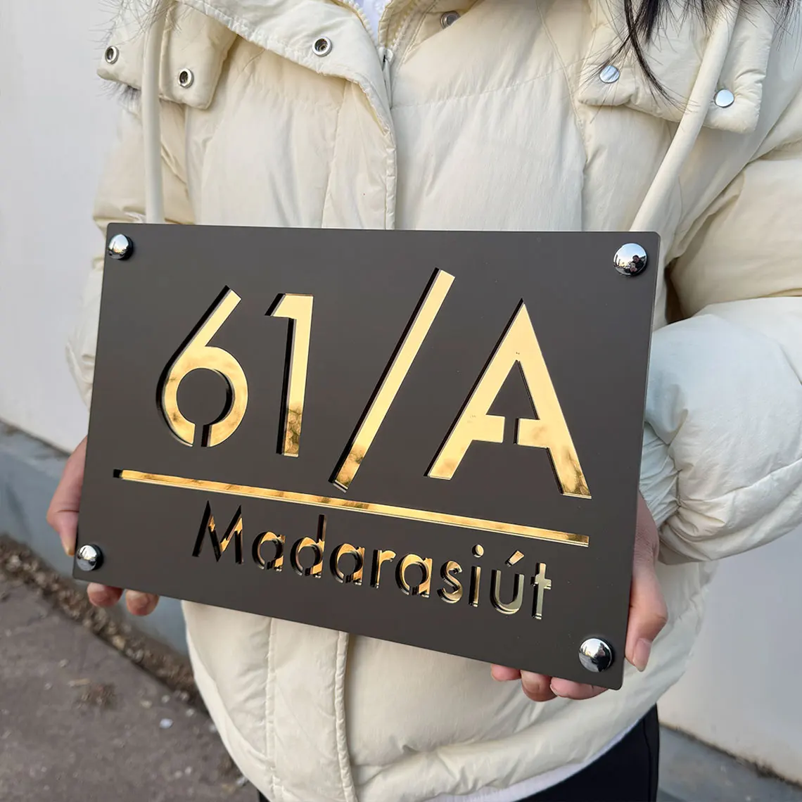 شخصية كبيرة في الهواء الطلق رقم المنزل لوحة الاكريليك ثلاثية الأبعاد الليزر رقم المنزل السكني عنوان الشارع لديكور الحائط