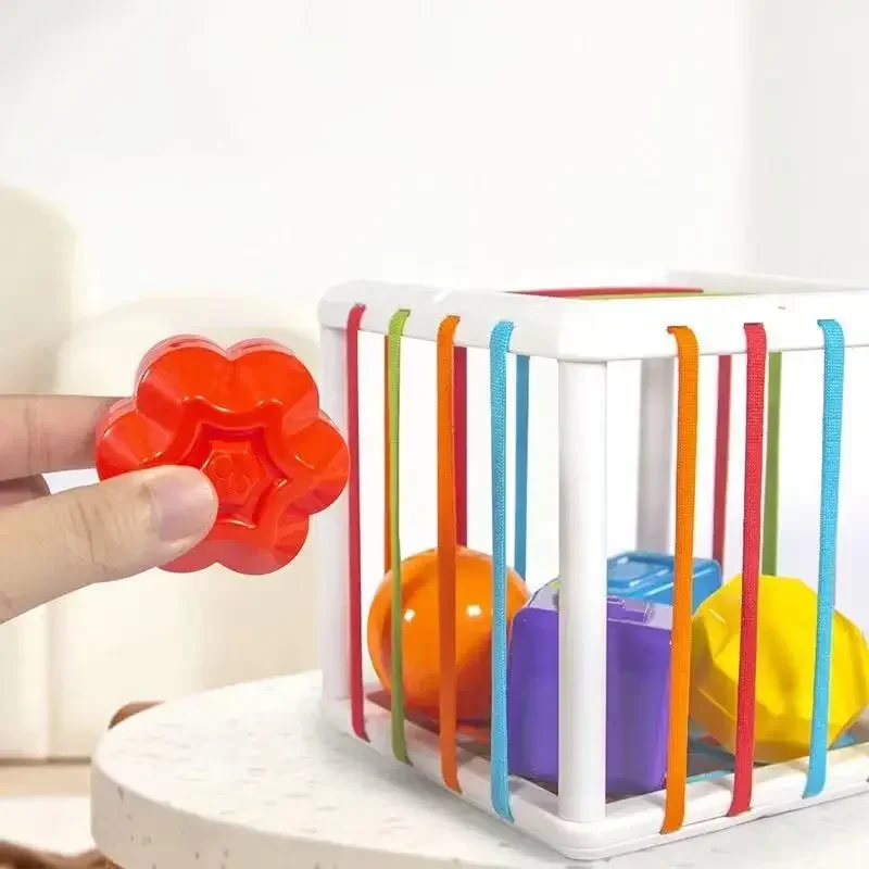 Montessori Bunte Form Block Sortierspiel Baby Motorik Taktiles Lernen Lernspielzeug für Kinder 1-3 Jahre Baby Geschenk