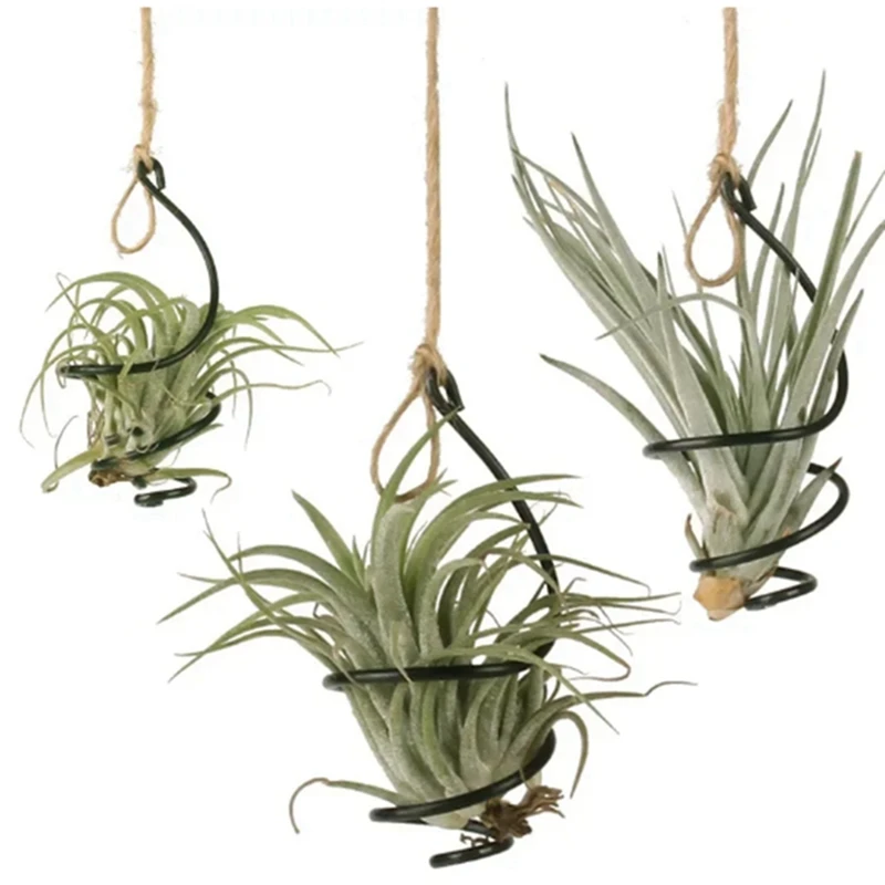 

Air Pineapple Hook Hanging Flower Stand Pots Display Hanger Holder Iron Flower Stand Display 1Set