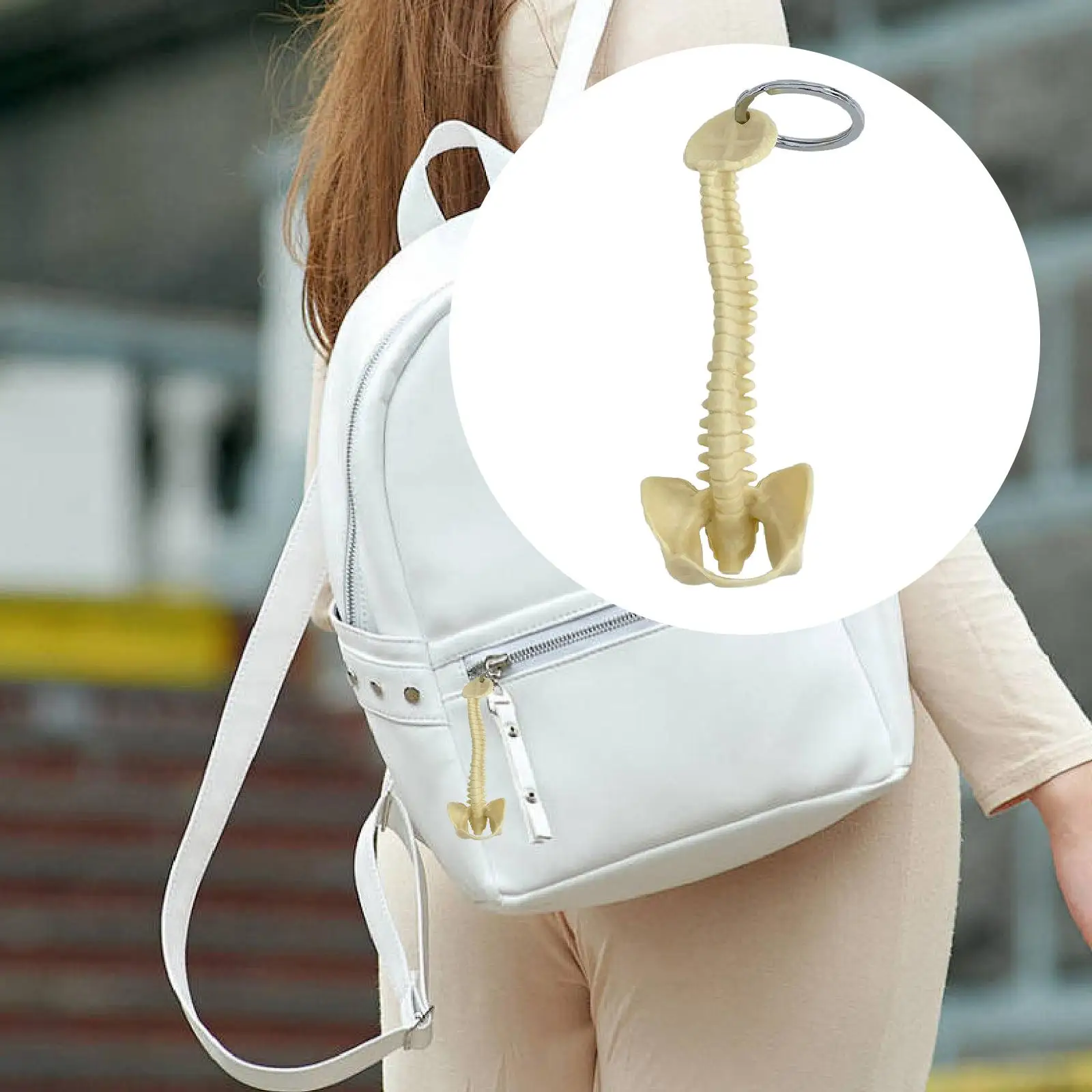 Spine Model Novelty Keychain PVC Vertebrae Skeleton Accessory Key Ring Elegant Keychains for Bag for Anatomy Class
