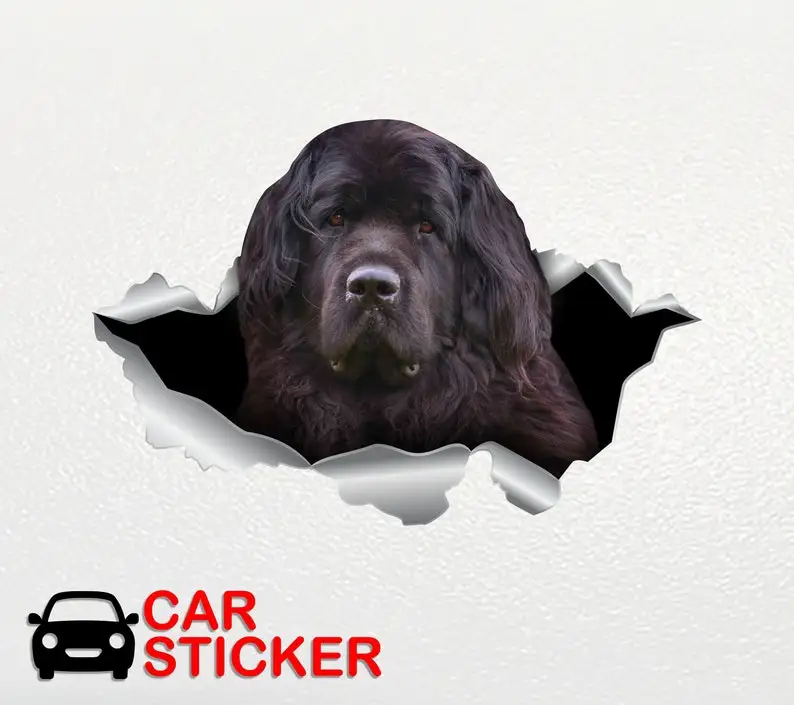 Newfie sticker Black Newfie Car sticker Newfoundland sticker Dog decal Funny sticker Vinyl decal Newfoundland print Bumper dog s