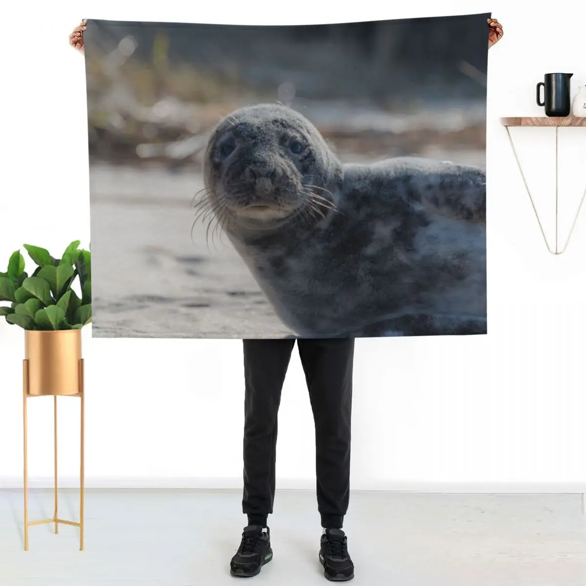 

Sweet Baby Seal on a Beach Looking At You with Big Eyes Throw Blanket Anti Shedding Soft Fuzzy Blanket for Home