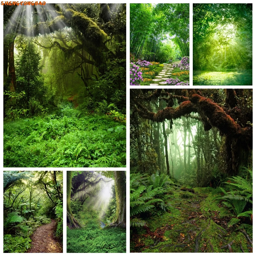 ฤดูใบไม้ผลิทิวทัศน์ธรรมชาติป่าการถ่ายภาพฉากหลังป่าเขตร้อนสีเขียวป่าต้นไม้ผจญภัยเด็กภาพพื้นหลัง