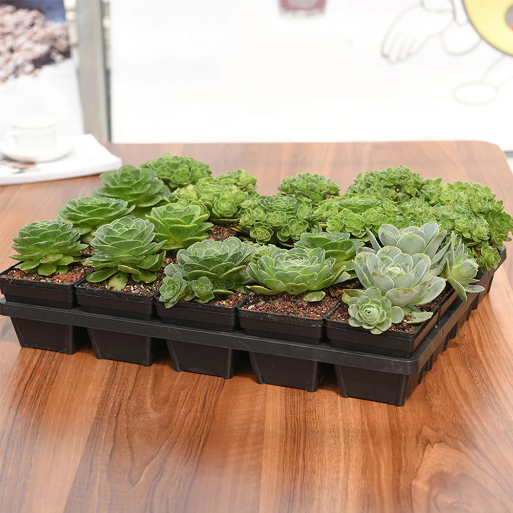 

2 Pcs Plants Seedling Tray Gardening Planting Racks Starter Flowers Grown Greenhouse Sowing Holders Black Plastic Planter Baby