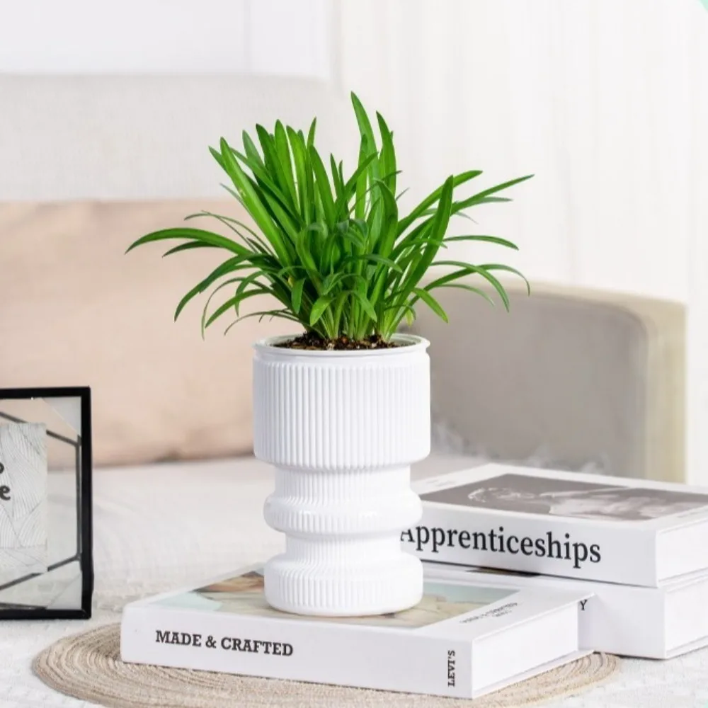 New Self Watering Hydroponic Plants Pot Plastic Removable Flowerpot Mini Succulent Planter Tabletop Vase