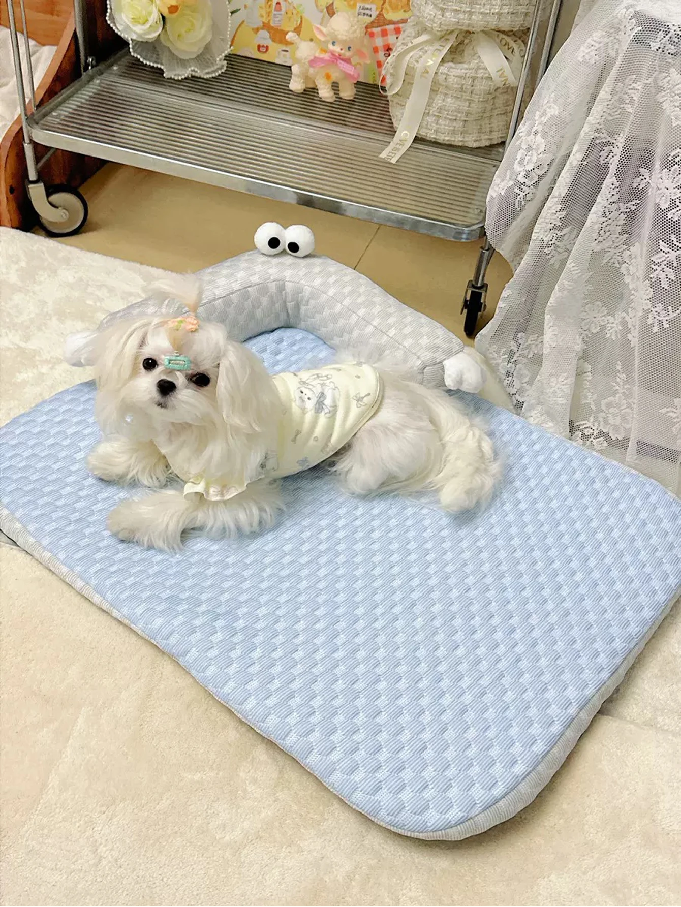 #25 Best Cooling Dog Mats to Buy In 2026