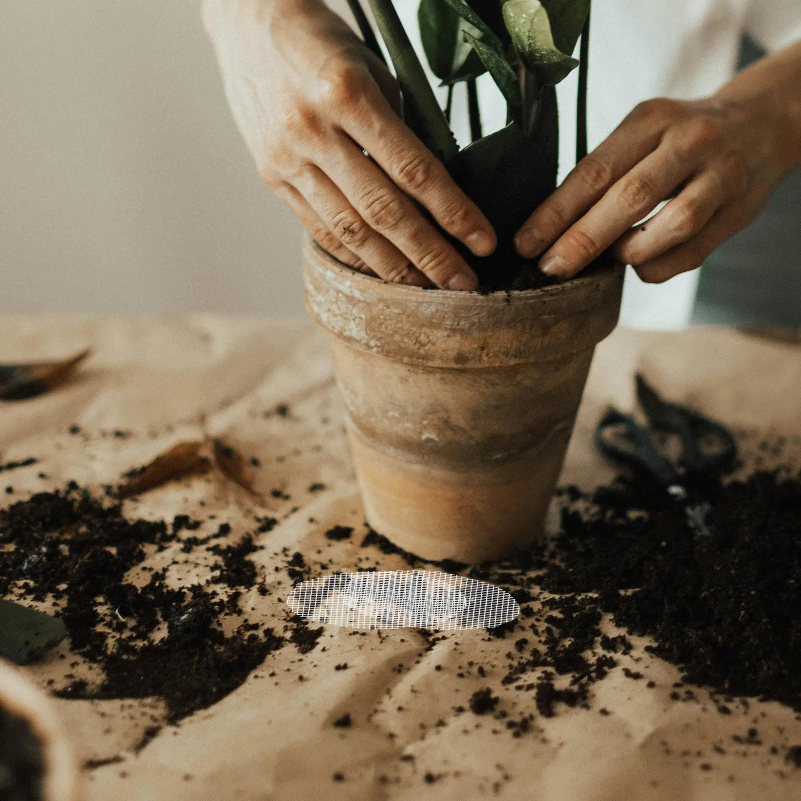 20 Pezzi Tappetini a Rete per  - Bonsai Gardening recensione e prezzo