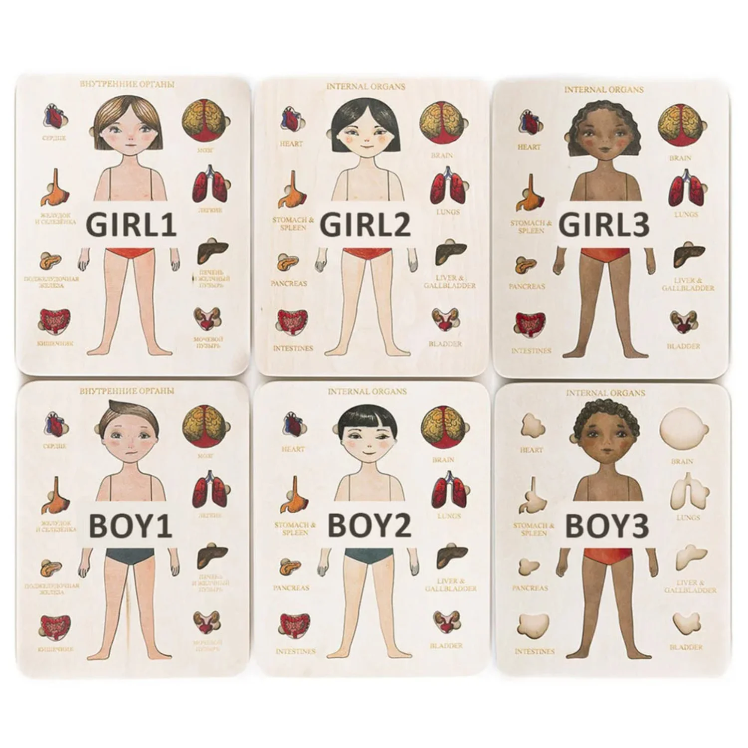 Montessori Houten Puzzel Man V - Human Body Puzzle recensie en prijs
