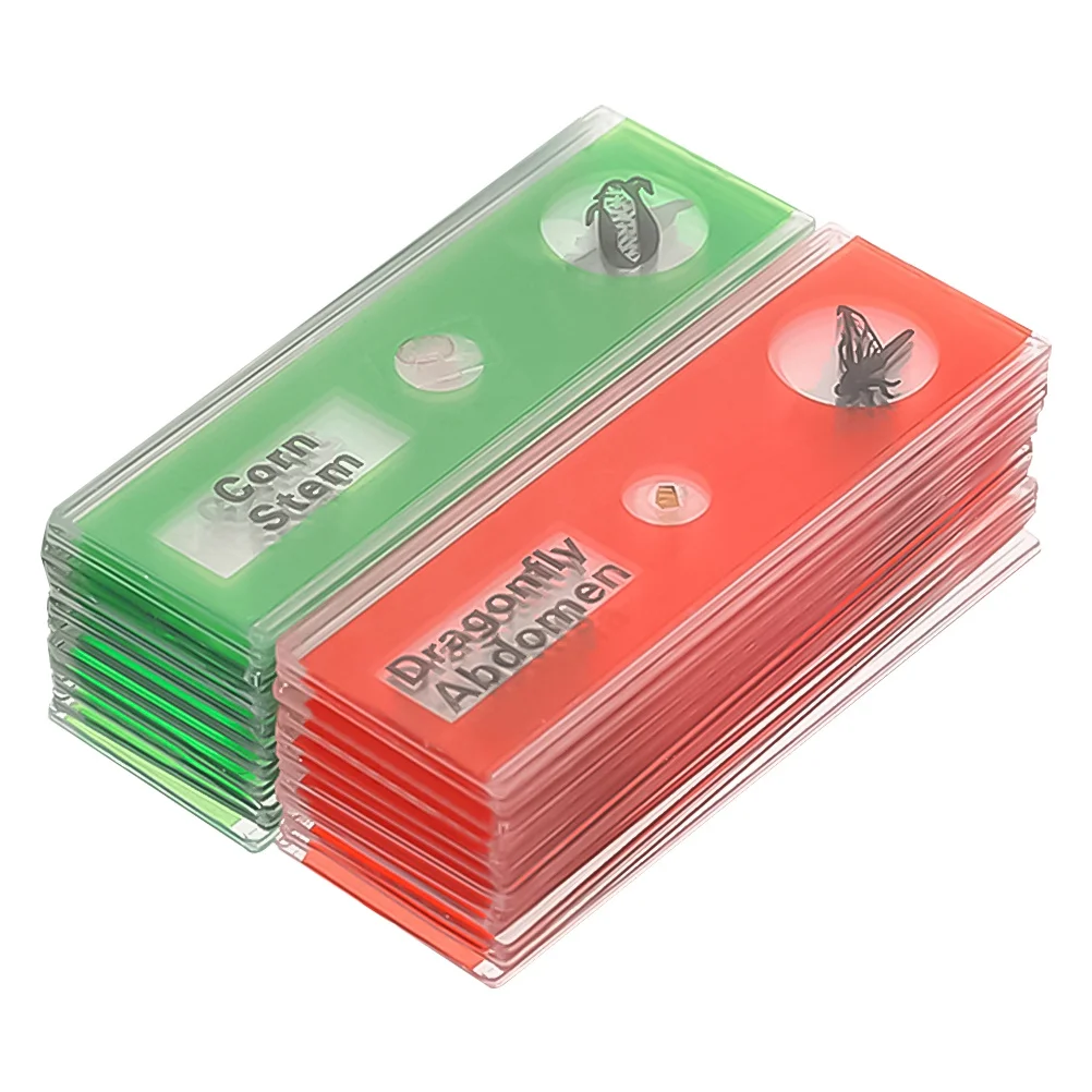 

24Pcs Biological Slides Plastic Microscope Slides Green Plants Specimen Set Marked Names Beginners Kids Science Learning
