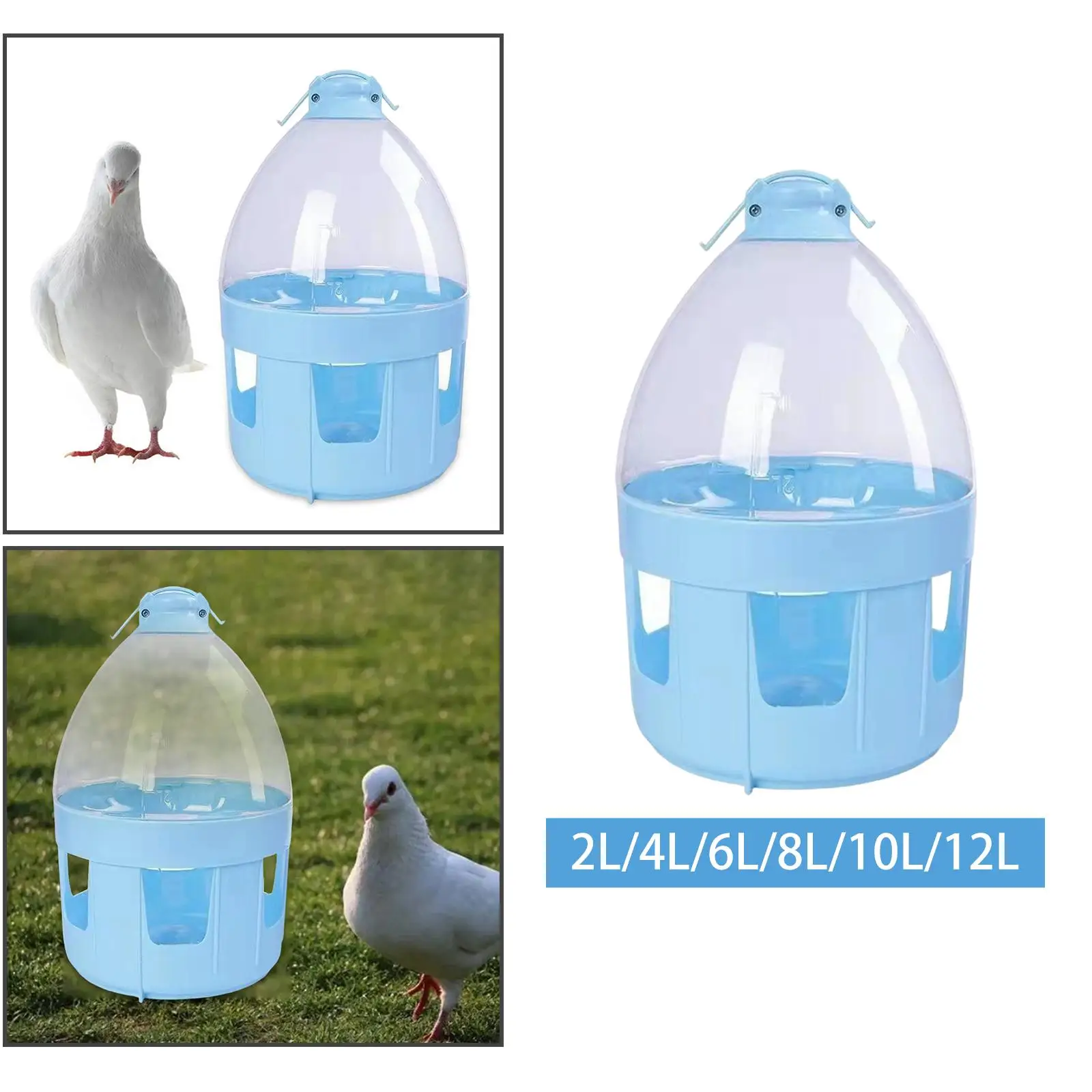 Pigeon Automatic Water Feeder Accessories Pigeon Feeder Hanging Pigeon Feeder Waterer for Quail Duck Parakeet Canary Outdoor