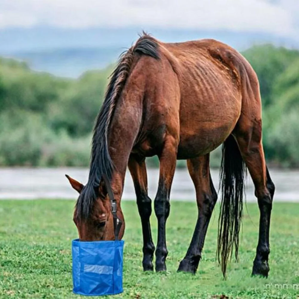 Adjustable Horse Feeder Horse Feed Bag For Long Rides Adjustable Strap Design For Adult Sports Horses Waterproof Feed Bag Design