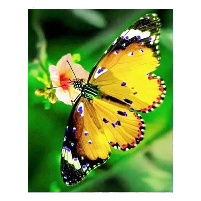 Diamond Painting Butterfly Animal Cross Stitch Kits Diamond Mosaic Giraffe Picture Embroidery Full Square Round Handi