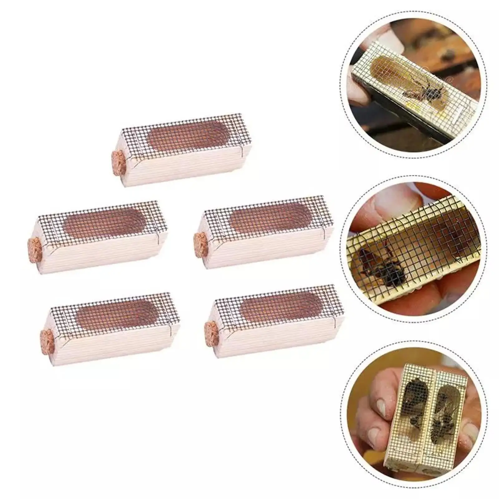 Bee Transport Cage Wooden Queen Catcher Reusable Beekeeping Accessory for Beekeeping Box Hive Equipment and Storage
