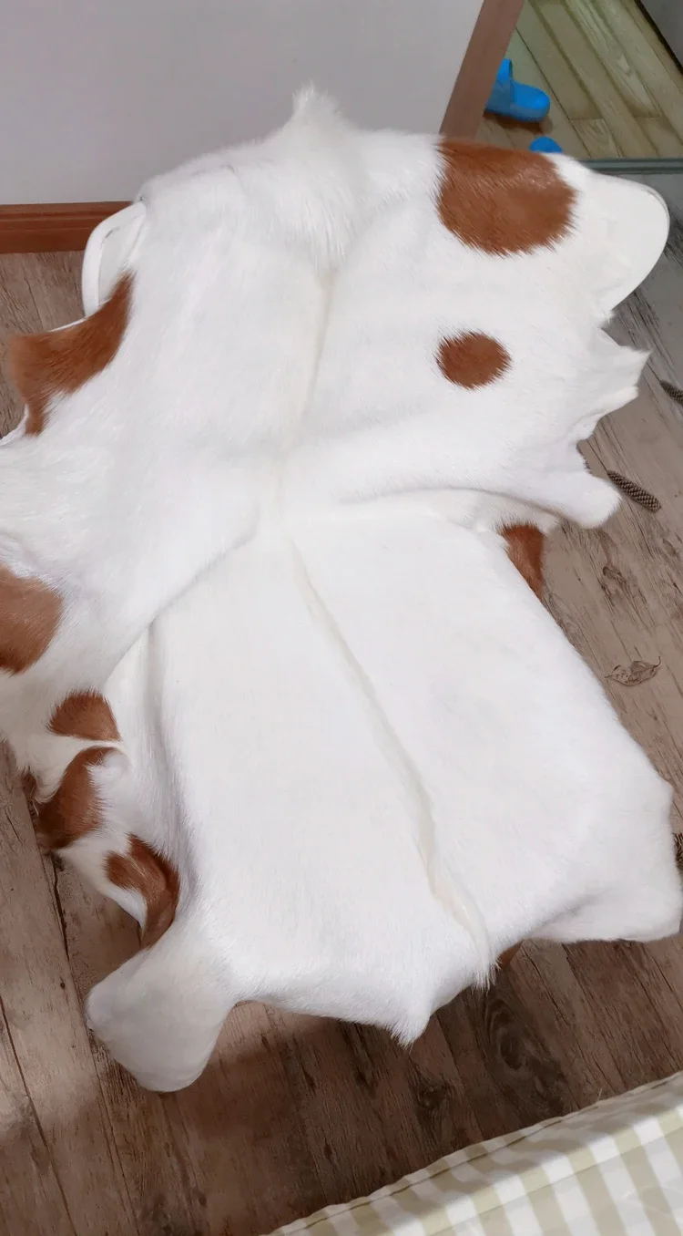 Unique Chair Cushion, Natural Goat Skin Rug Wool Leather, Carpet for living room, cat mattress,area rug,defect fur view 2