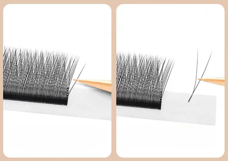 MARIA 2D Y-Form Wimpern, Premium 2D-Wimpern, Weiche, Leichte, Natürliche Wimpernverlängerungen, Make-up-Zubehör, Netz-Wimpern – Detail 1