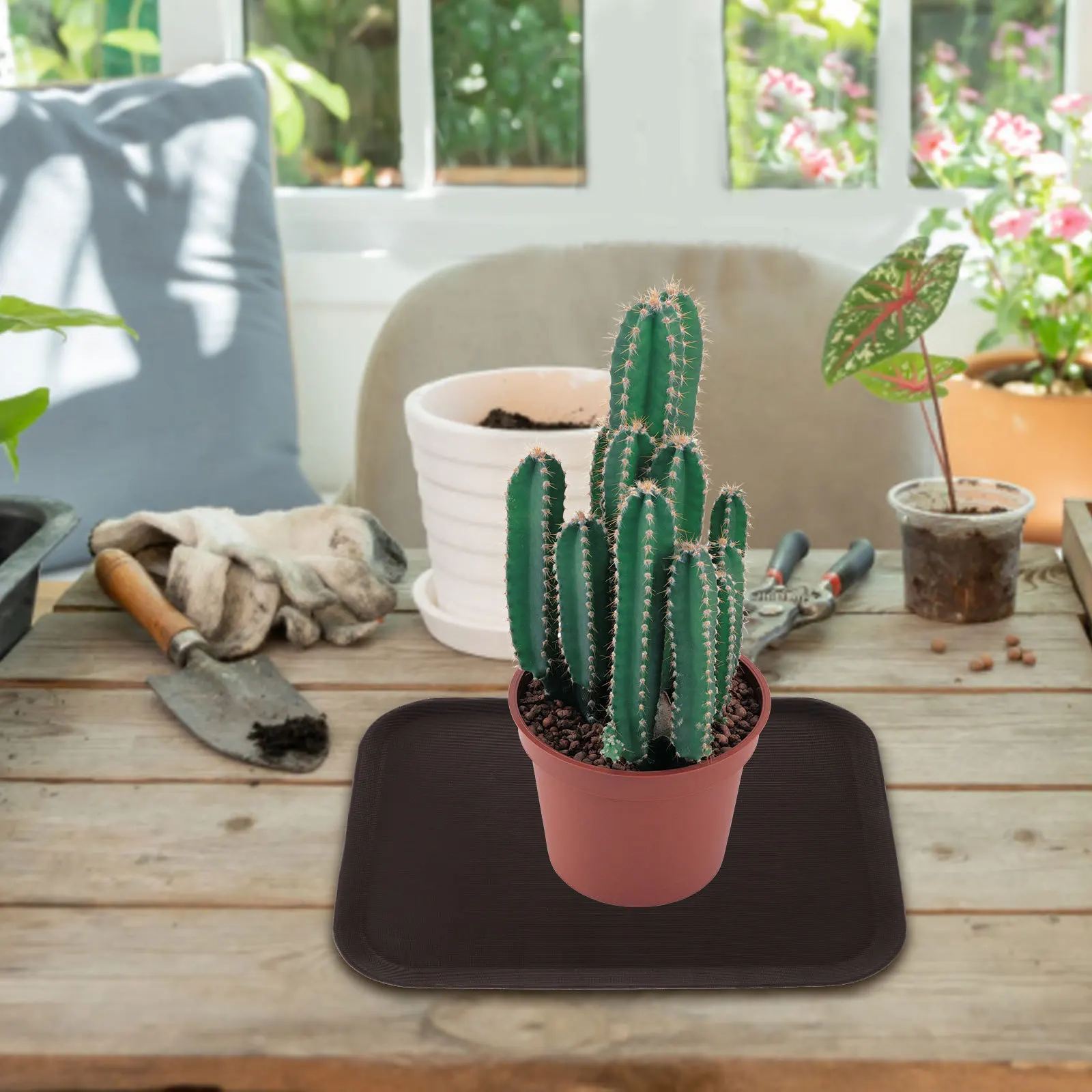 

Large Capacity Plastic Shoe Tray Multi-Functional Boot Storage Mat for Entryway Hallway Car Trunk Sundries Organizer Indoor