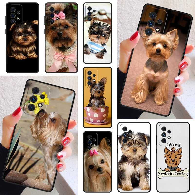 Yorkshire Terrier Y… - image