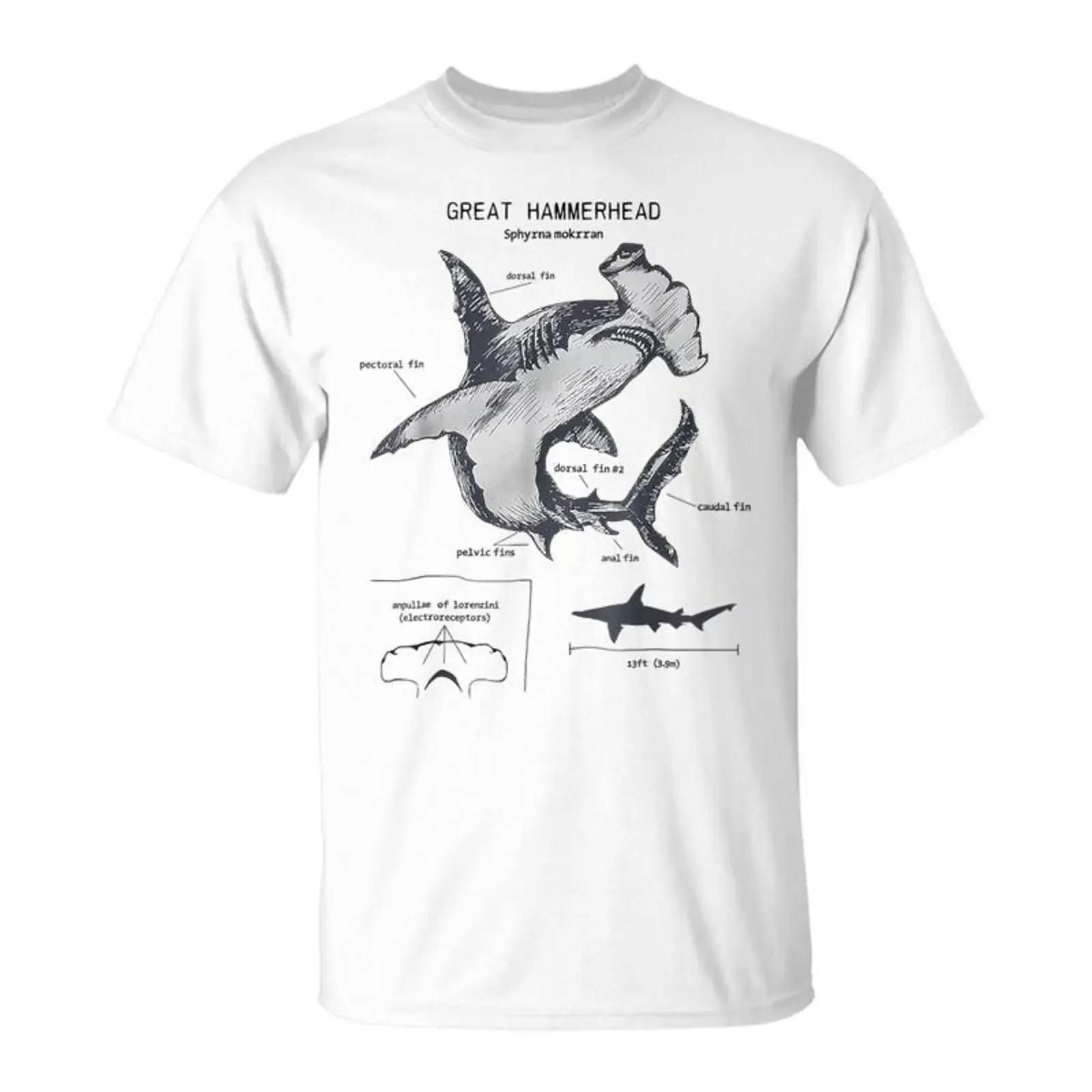 Футболка Anatomie Du Requin Marteau Biologie Marine T Shirt Cadeauxyz, винтажная, дизайнерская, с эффектом потертости, удобная, мягкая, модная, универсальная.