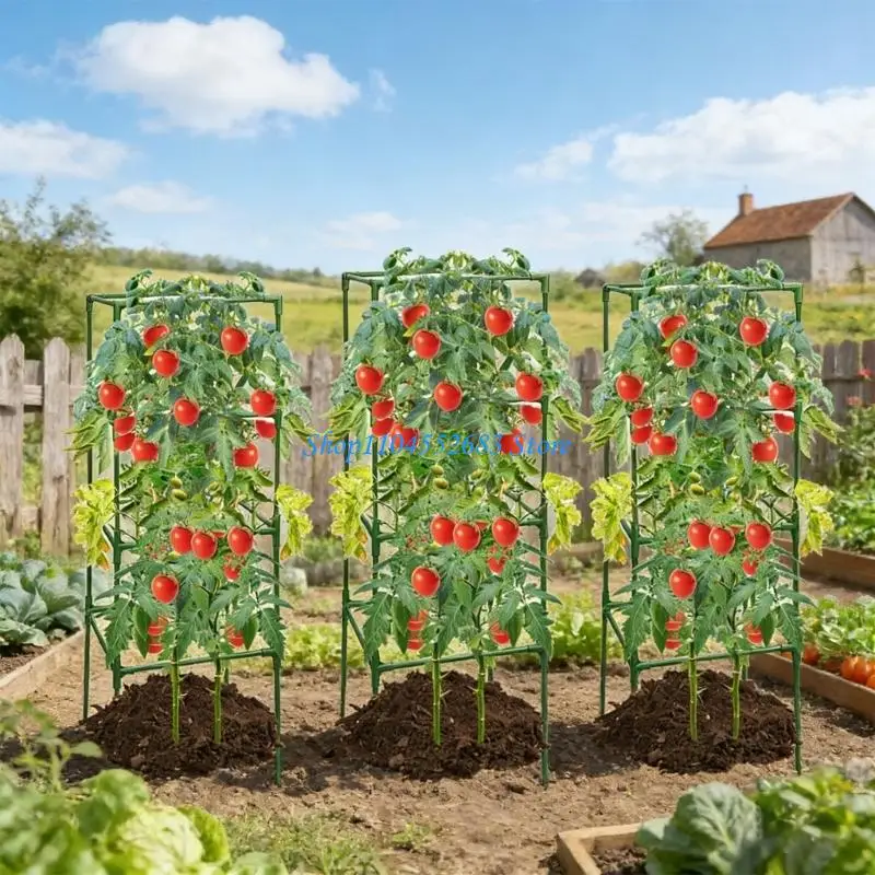 Y6GD Tall Steel Tomato Growing Cage System 3 Pack 120cm For Home Garden Vegetables