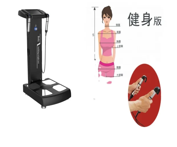 

Weight And Height Measuring In Body Composition Scanners With Wifi Scan Code Body Analyzer For Nutritionist Clinic Use