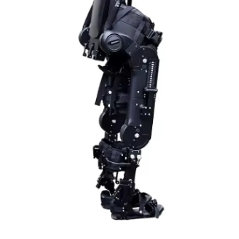 Medical Rehabilitation Exoskeleton Walking Assistance Robot - an Exoskeleton Robot for the Lower Limbs That Provides Power