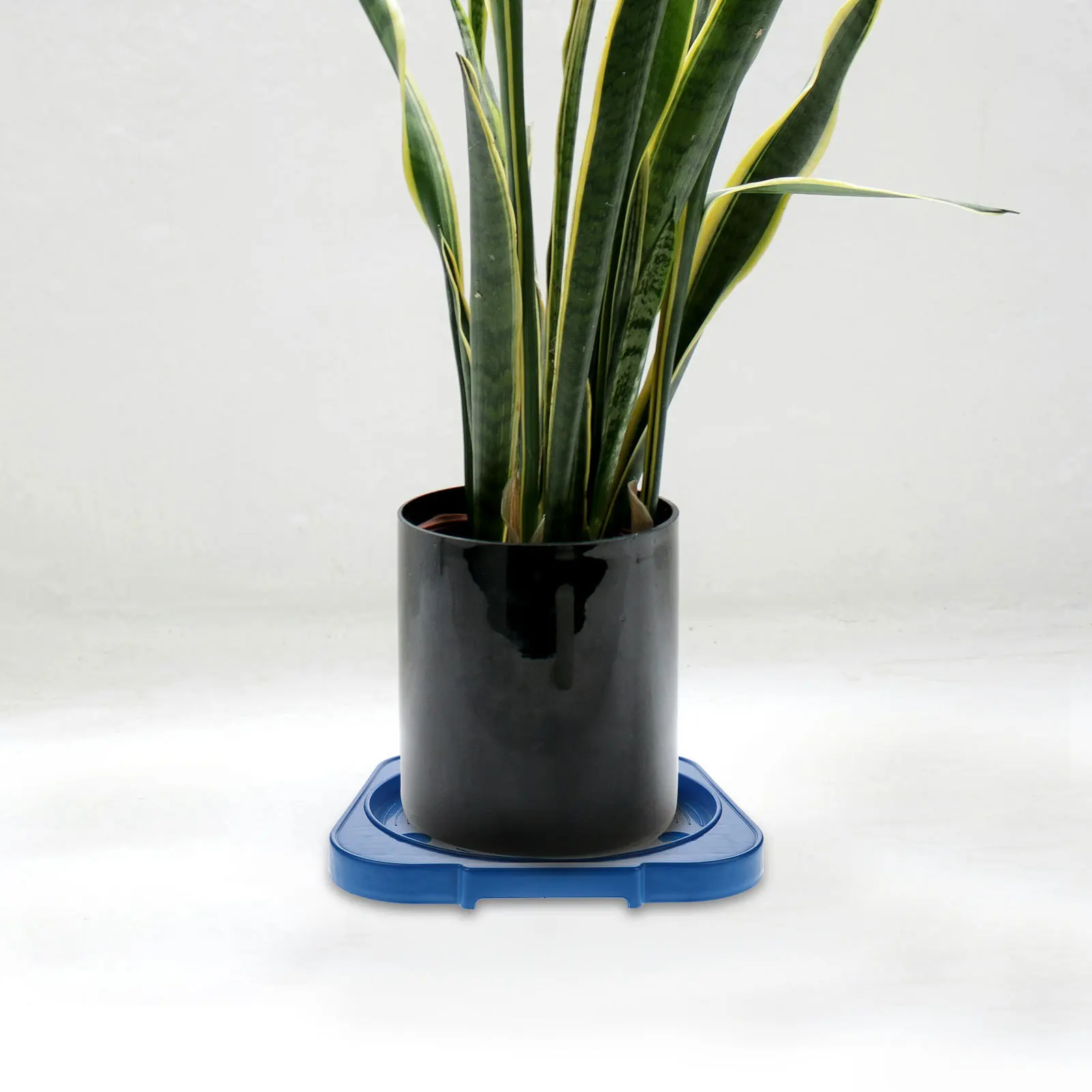 

Portable Gas Cylinder Stand Movable Tray for Gas Tank with Wheels Reinforced Bottom for Safe and Convenient Storage