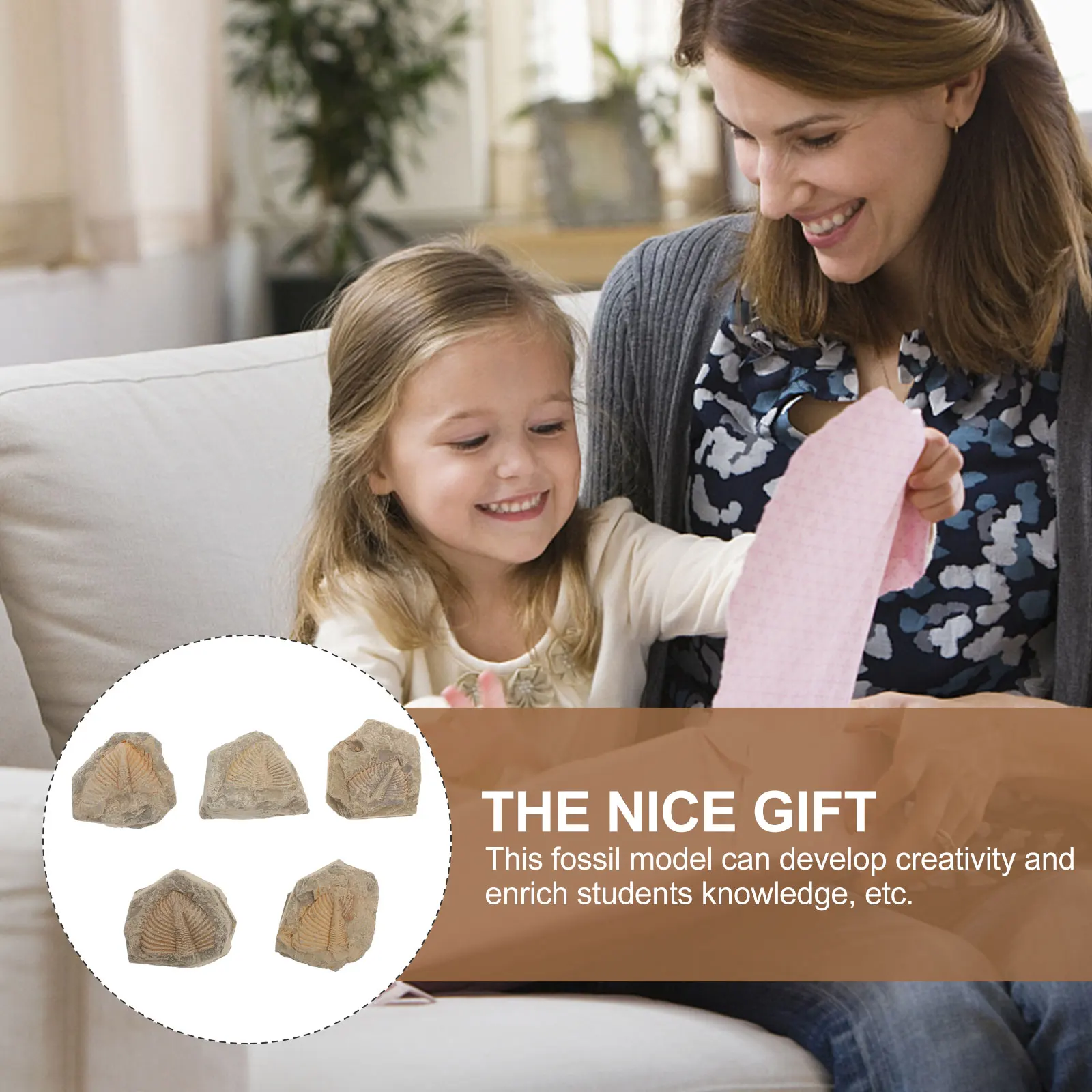 

5pcs Trilobite Specimen Simulation Educational Teaching Tool Decor Gift For Kids Students Collection Lovers