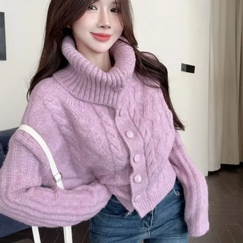 

Sweet Turtleneck Sweater Hot Girls Casual Autumn Winter Long-Sleeved Twist Knitted Cardigan, Fashionable Women Clothes